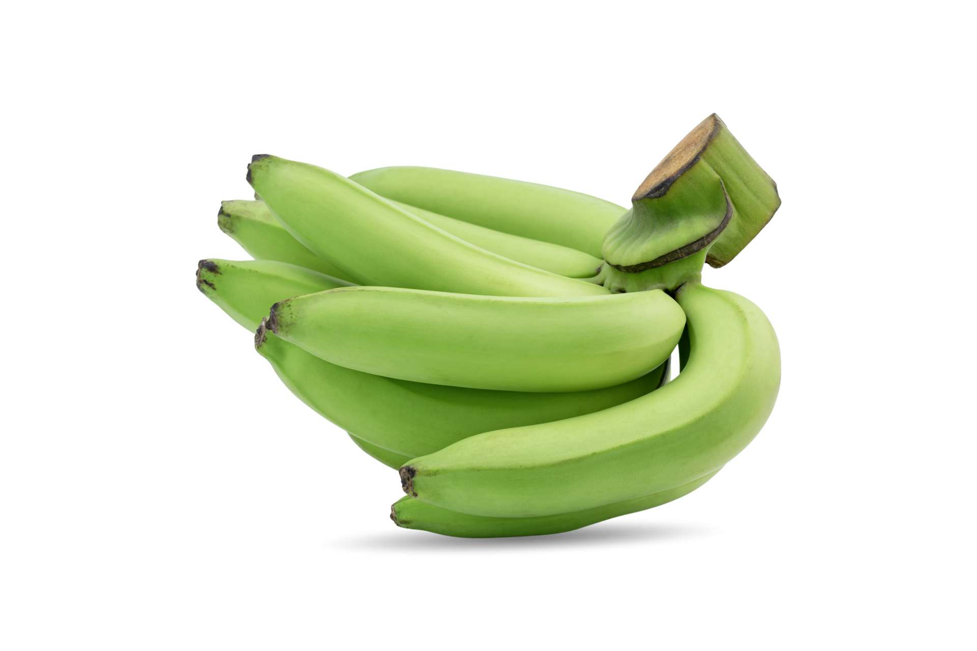 バナナの収穫体験を行い気軽にバナナ栽培に携わる機会をご提供