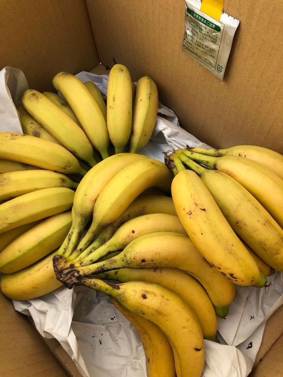 バナナ追熟テスト