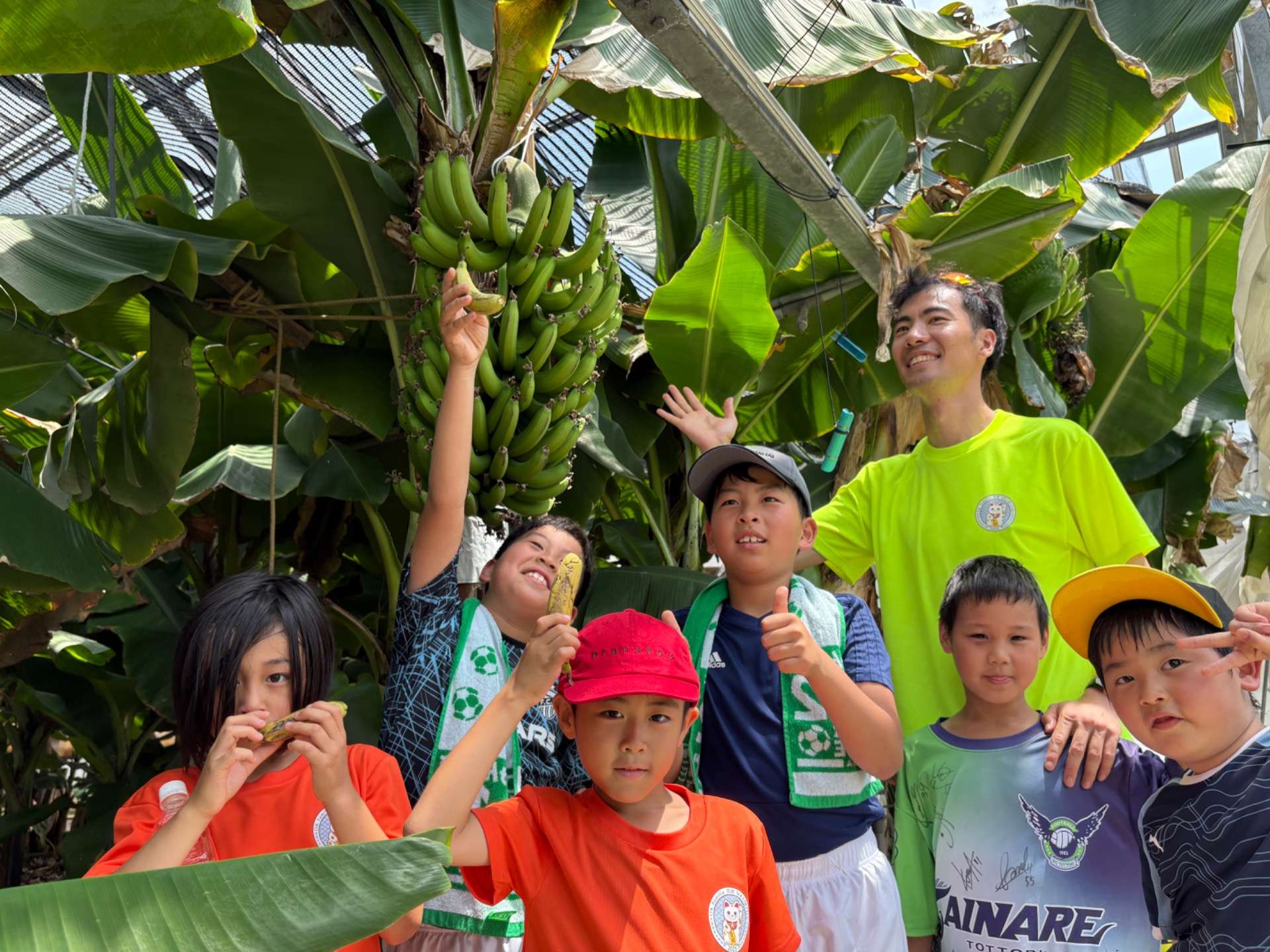 常滑市　サッカークラブクラブ農場見学